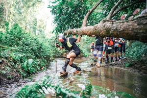 BIB: 
                            <button type="button" onclick="openModal(25517669)" class="btn btn-primary btn-sm float-right btn-popup" data-toggle="modal" data-target=".modal-high-quality">
                        <i class="fas fa-shopping-cart"></i> Add to Cart
                    </button>
                                            <button type="button" onclick="isThisMe(25517669, true)" class="btn btn-success btn-sm float-right btn-popup btn-isme hidden" data-toggle="tooltip" data-placement="bottom" title="นี่คือรูปของคุณใช่ไหม คลิกที่นี่เพื่อเอาเข้าอัลบั้ม">
                        <i class="fas fa-plus"></i> Add to album
                    </button>
                    <button type="button" onclick="isThisMe(25517669, false)" class="btn btn-warning btn-sm float-right btn-popup btn-isnotme hidden">
                        <i class="fas fa-ban"></i> Remove from album
                    </button>